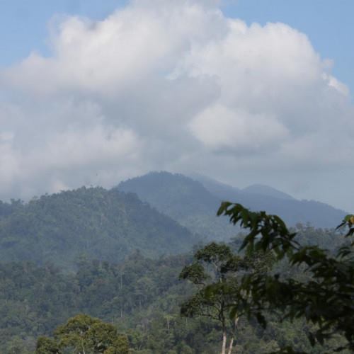 Taman-Negeri-Kenaboi-10