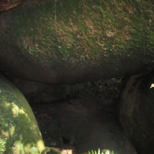 Taman-Negeri-Kenaboi-11